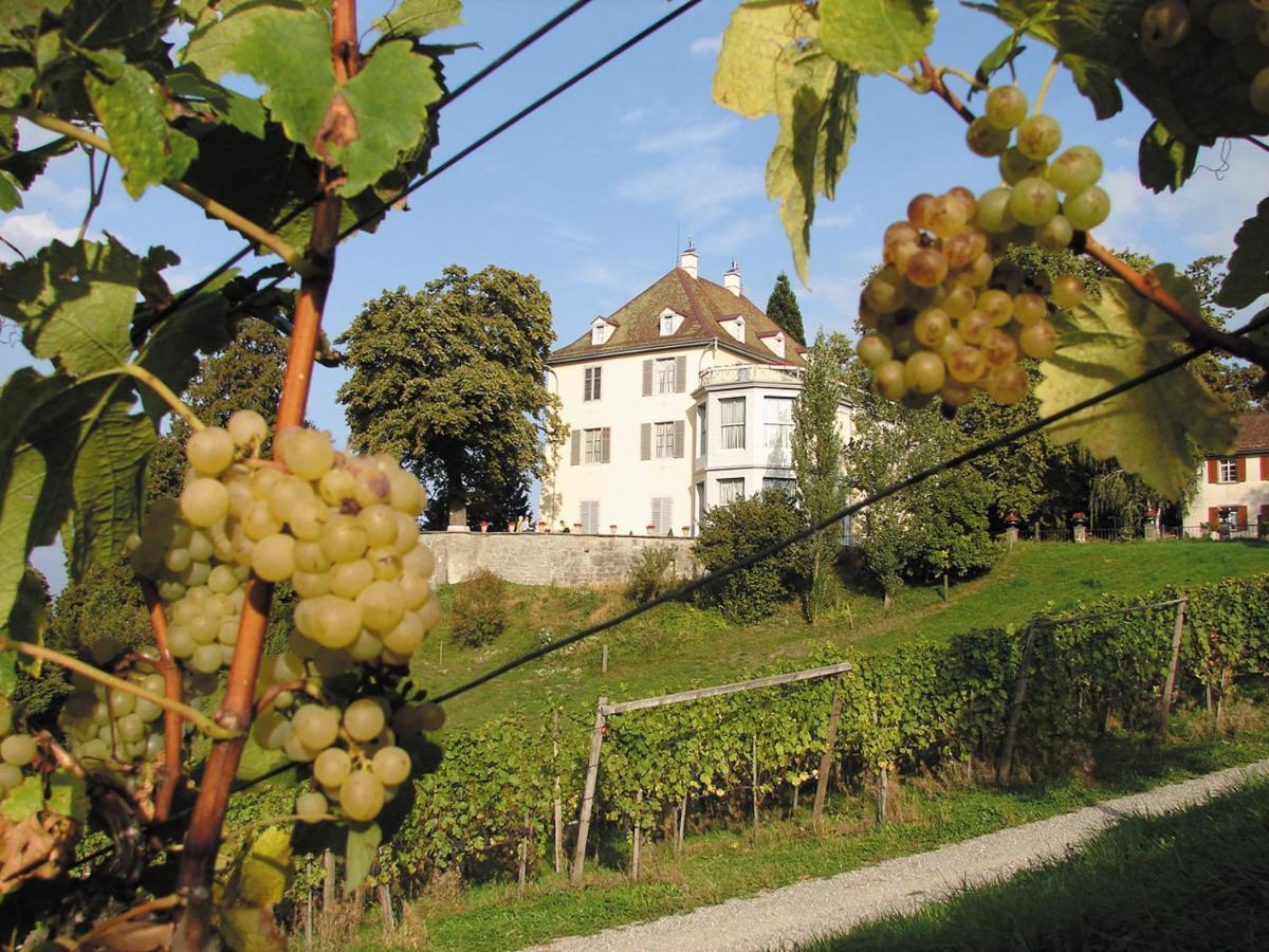 Hotel Arenenberg Salenstein ภายนอก รูปภาพ